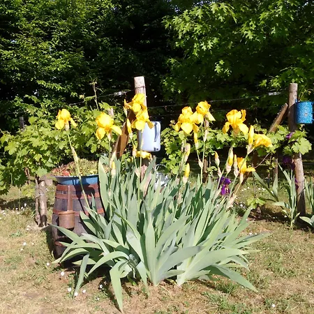 La Roulotte De La Vallee Du Lot 3*